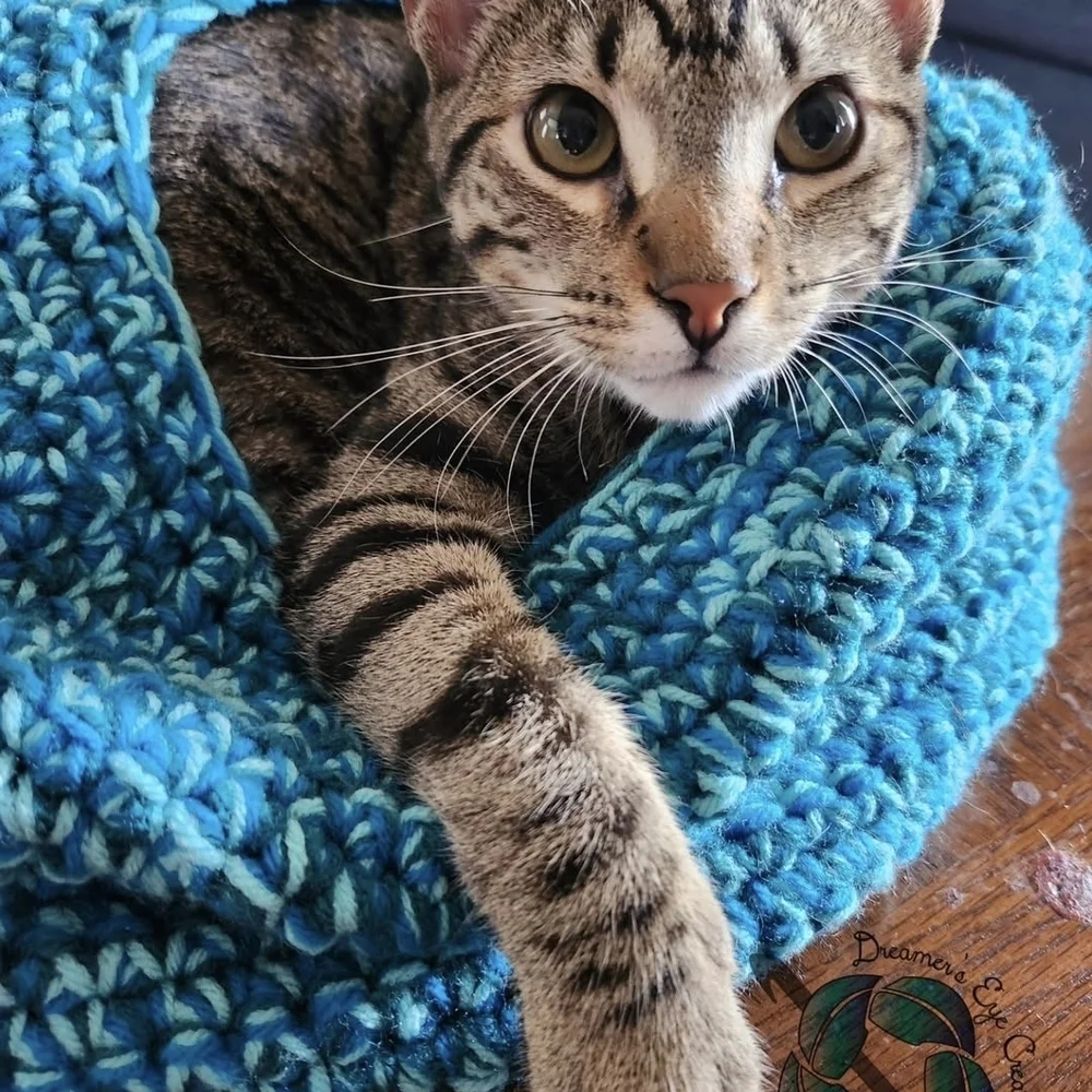 Pink and Green Cat Bed